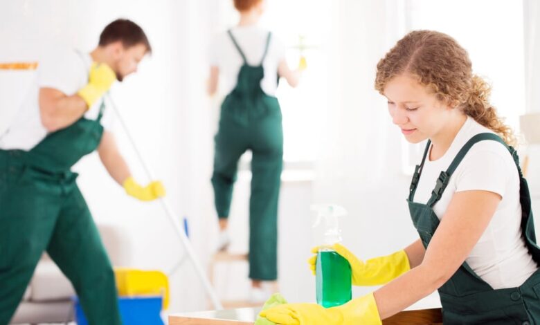 professional cleaning service