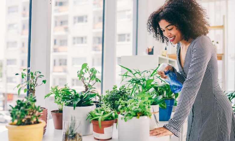 Indoor Gardening