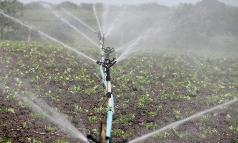 Effective-Irrigation