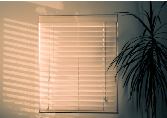 Window Blinds