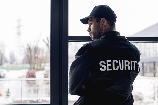 Security and Protection Services