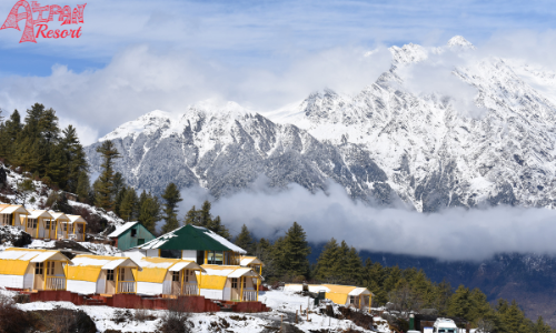 best popular hostels in CHOPTA