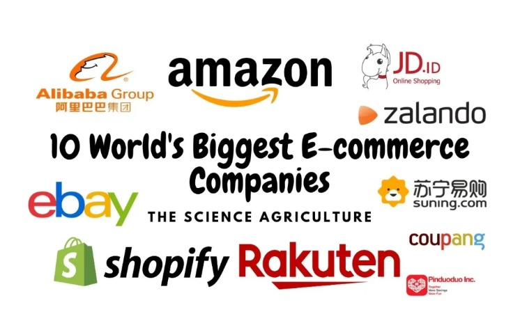 E-commerce Brands