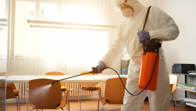 hire a Pest Control Company in UAE