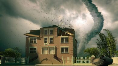 Expert Storm Restoration for Your Cape Coral Home