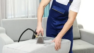 Upholstery Cleaning Services in Pinecrest