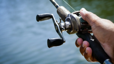 fishing reels​