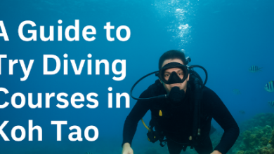 Try Diving course in Thailand, Koh Tao