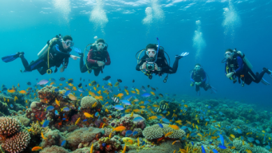best diving school in Koh Tao