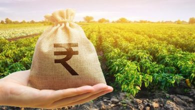 PM Kisan Online Apply