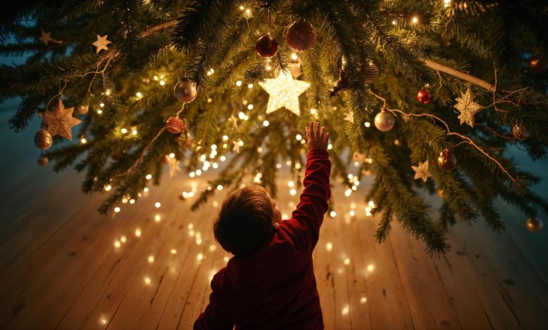 Christmas Lights Installation