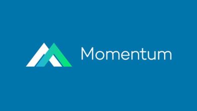 Immediate Momentum app