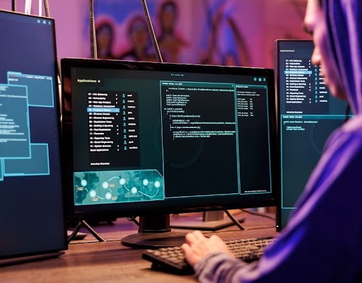 custom healthcare software development solutions